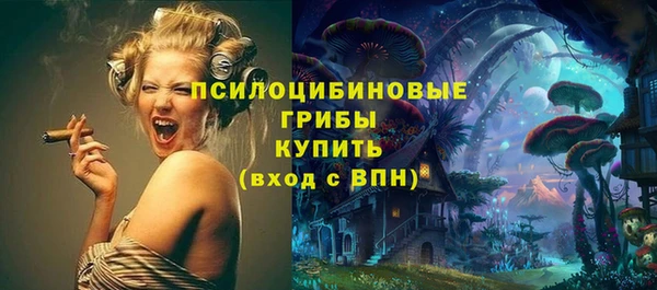 a pvp Алексин