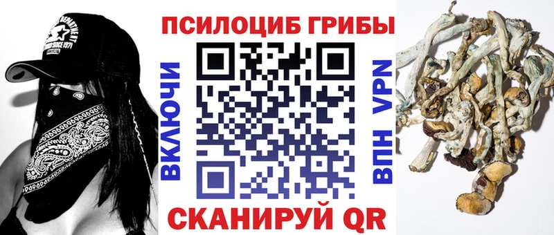 Галлюциногенные грибы Magic Shrooms  KRAKEN ссылка  это наркотические препараты  Болгар 